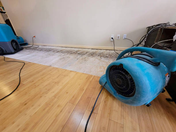Professional Structural Drying technician working in Londonderry, OH